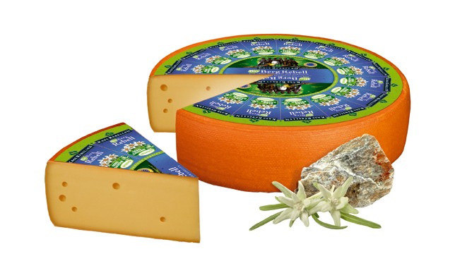 پنیر شورشی کوهستانی ارگانیک